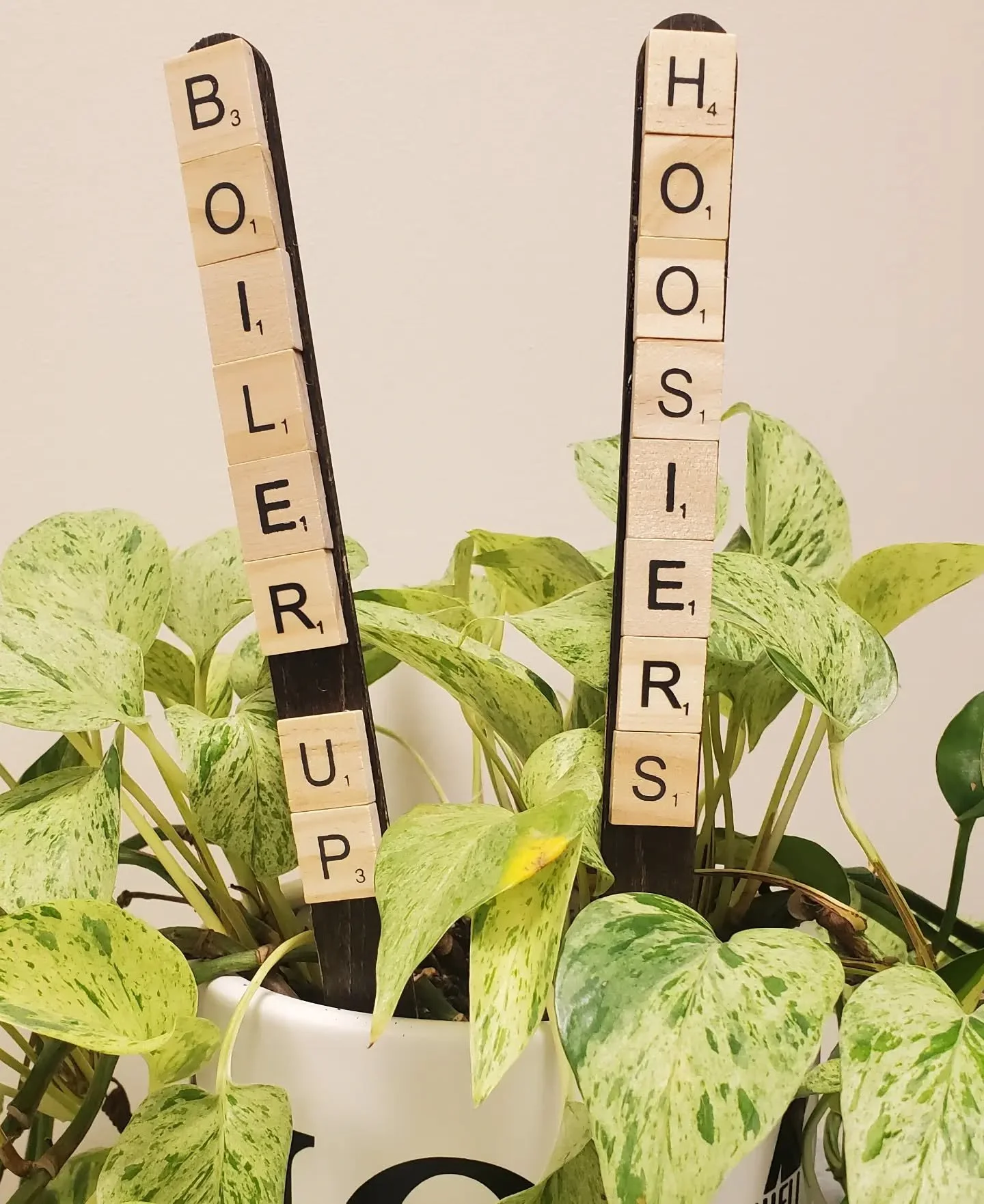 Handmade wooden plant stakes featuring authentic Scrabble tiles spelling funny sayings like "Soilmate," "Plant Mom," and "Soul Sis."