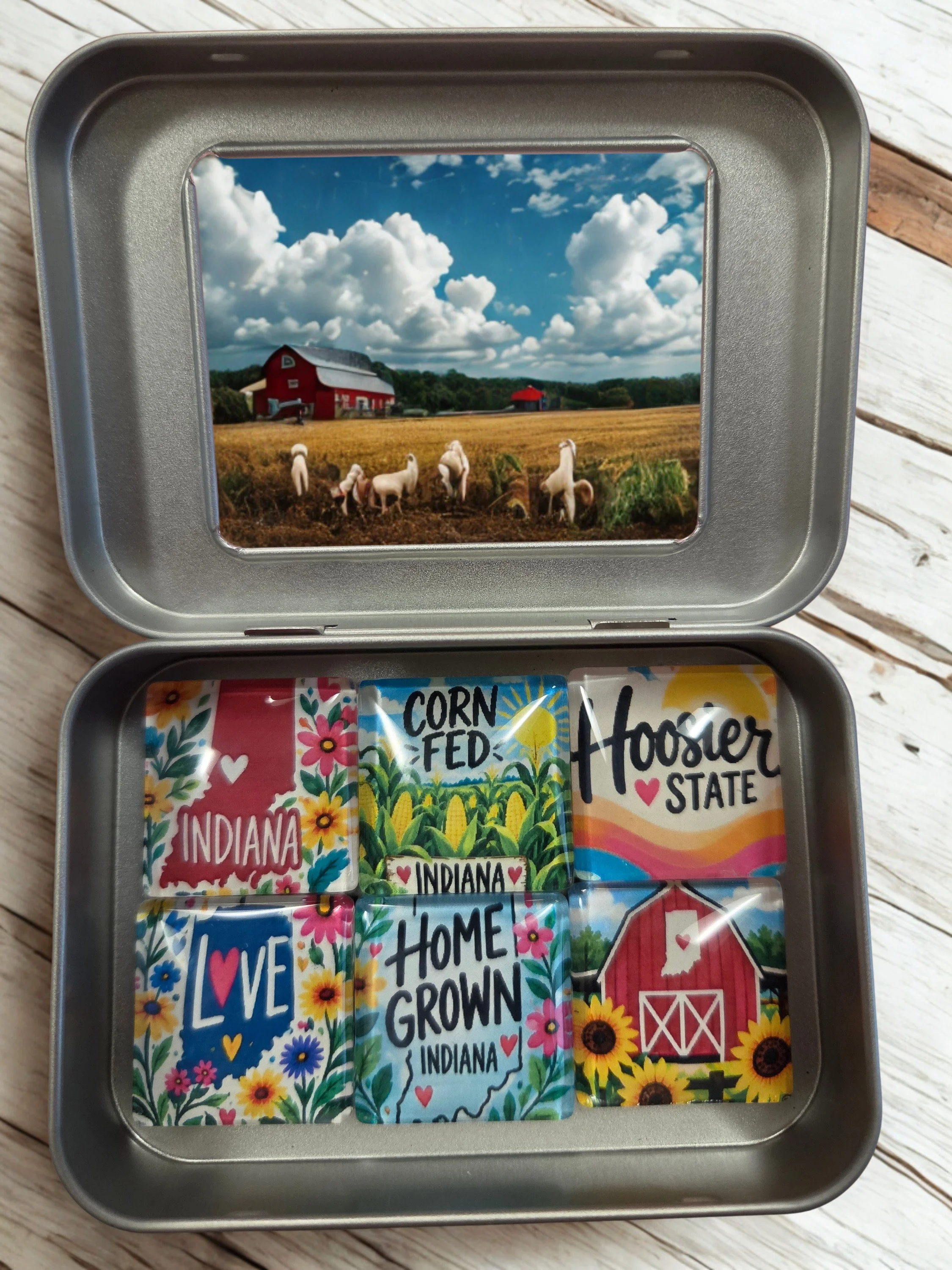 🌽 Indiana Love Glass Magnet Set