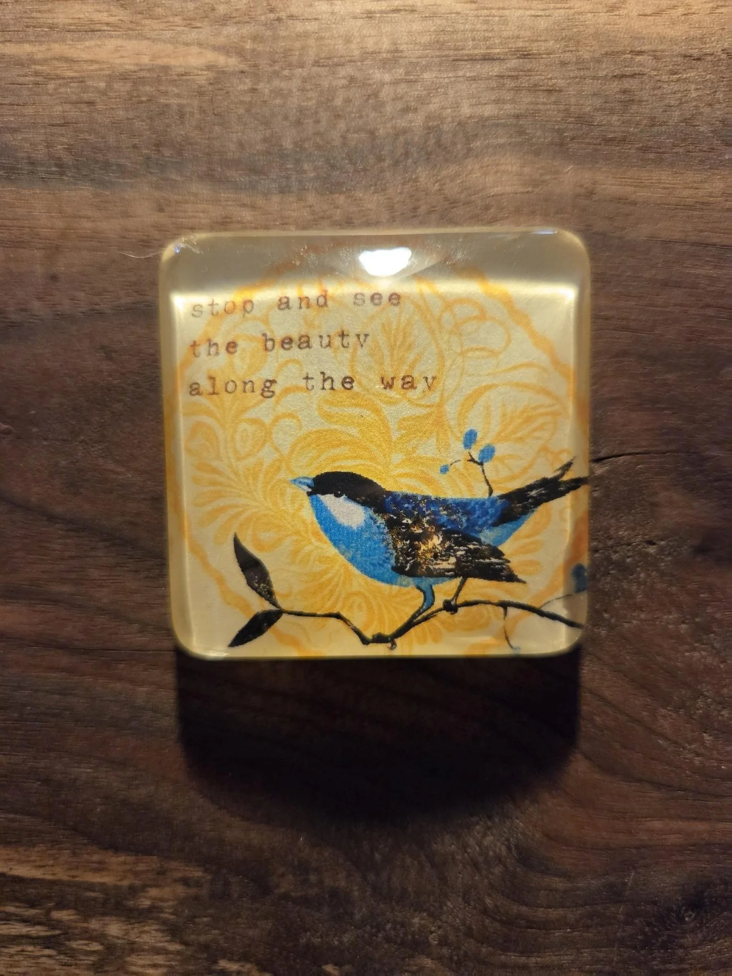 🐦Bluebird Glass Magnet