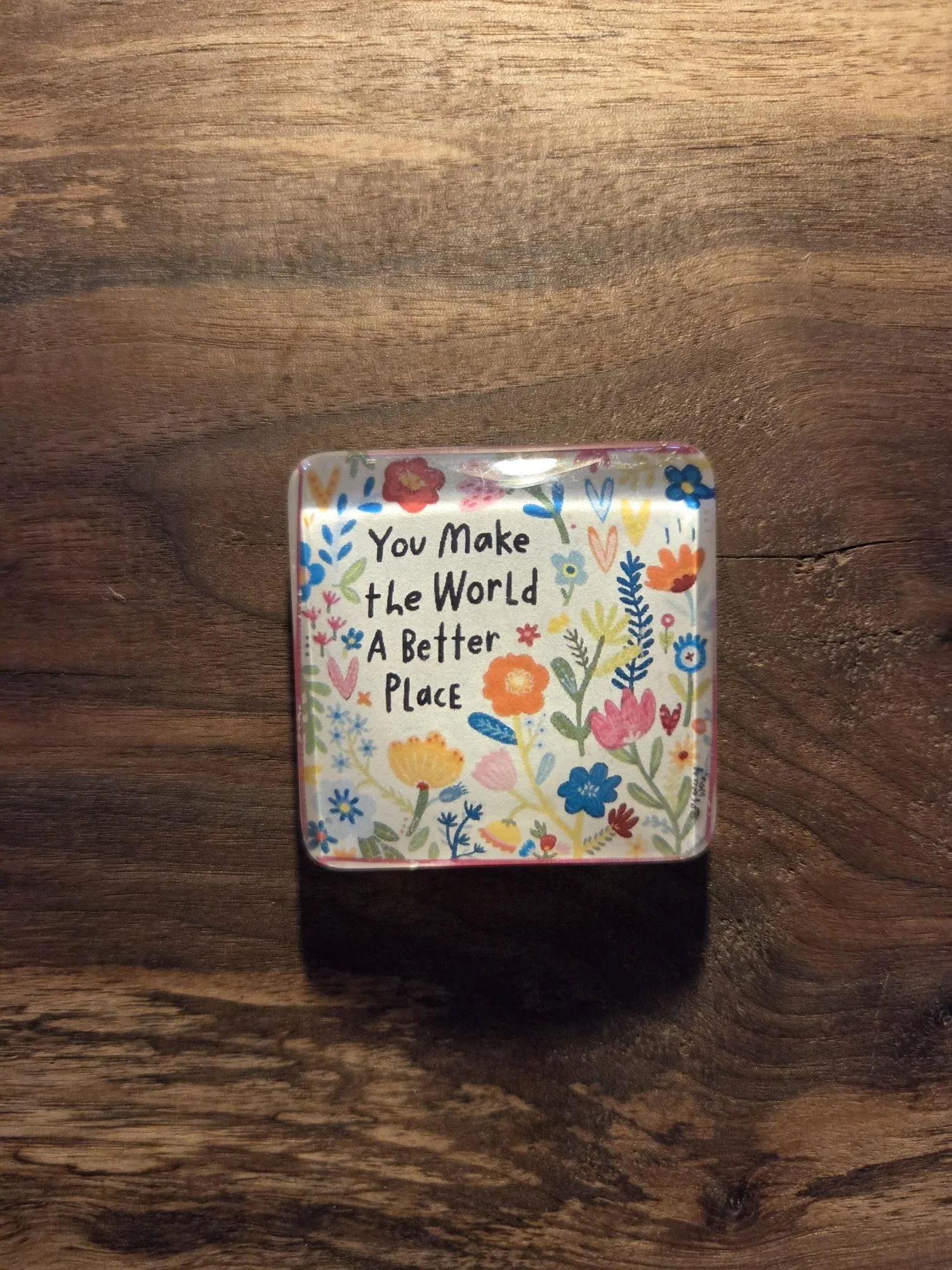 🌸You Make the World a Better Place Glass Magnet