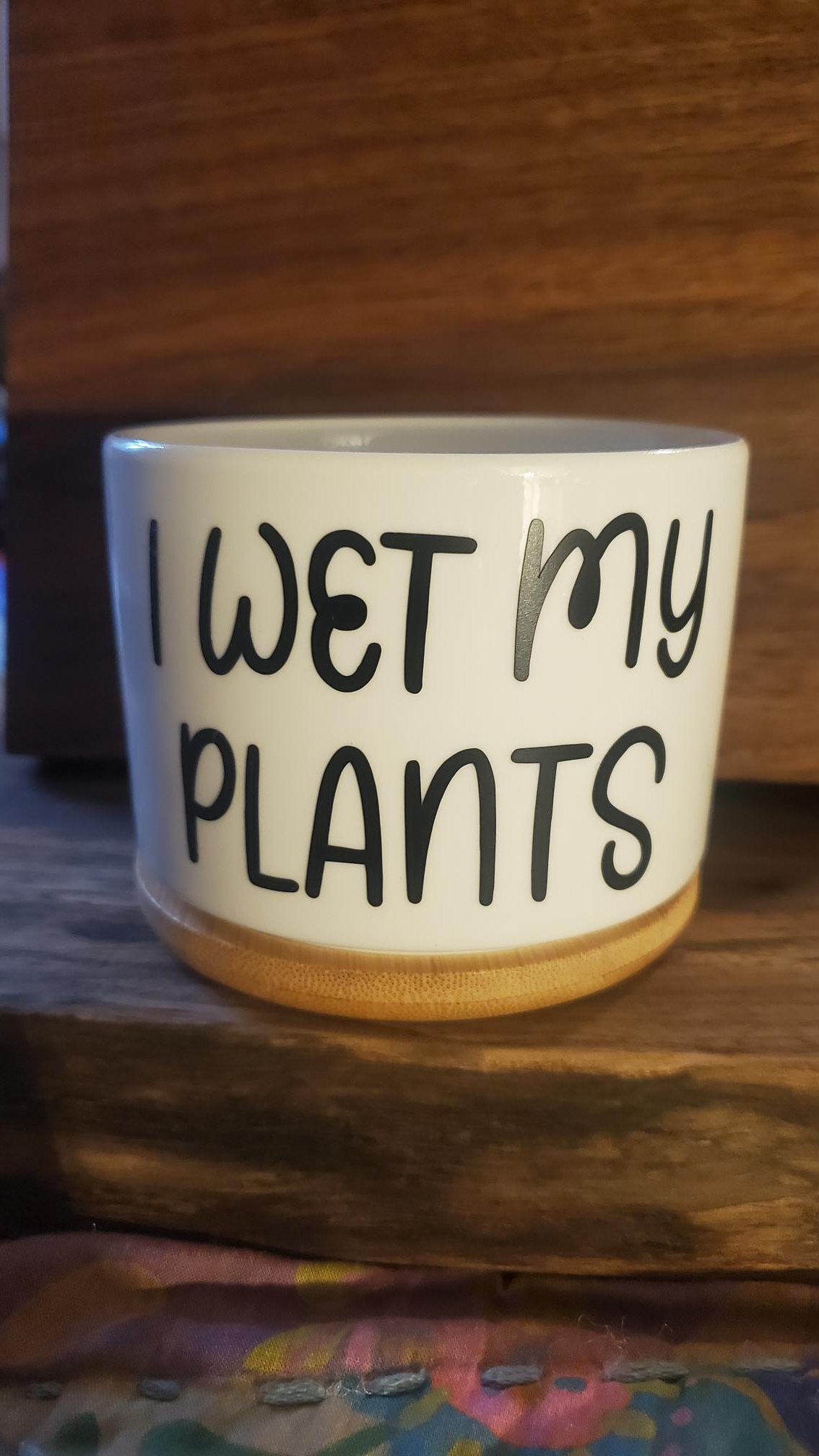 🌿  I Wet My Plants Succulent Planter