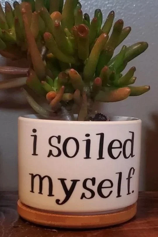 🪴 I Soiled Myself Succulent Planter