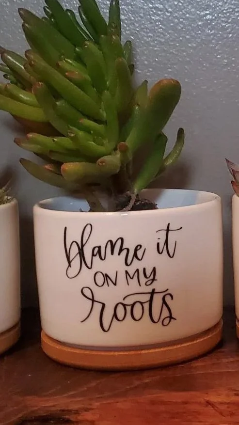 🌿  Blame It All On My Roots Succulent Planter