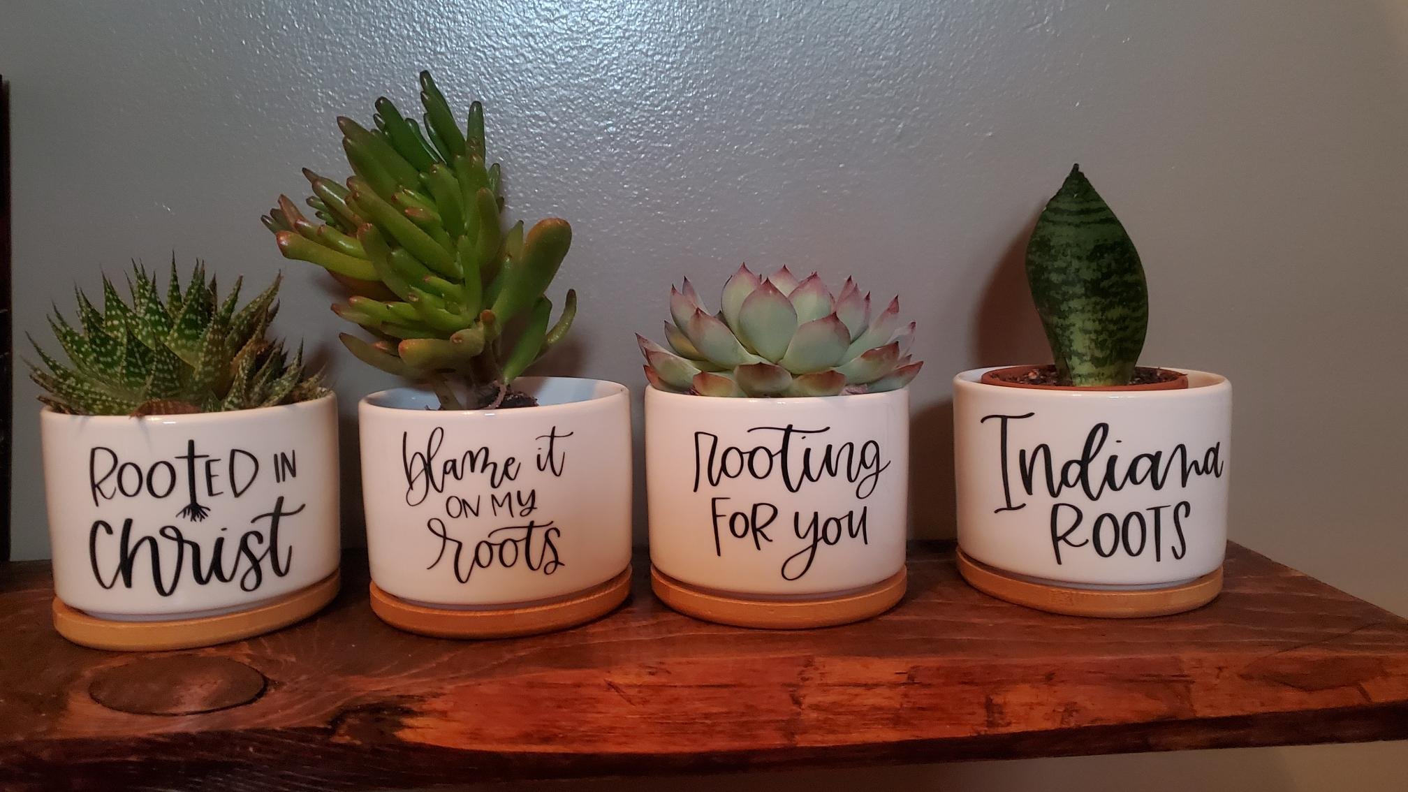 🌎Custom State Roots Succulent Planter