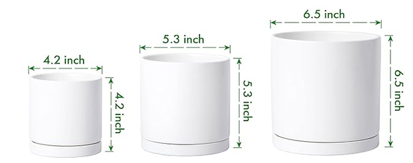Planter Size.png (Copy) (Copy) (Copy)