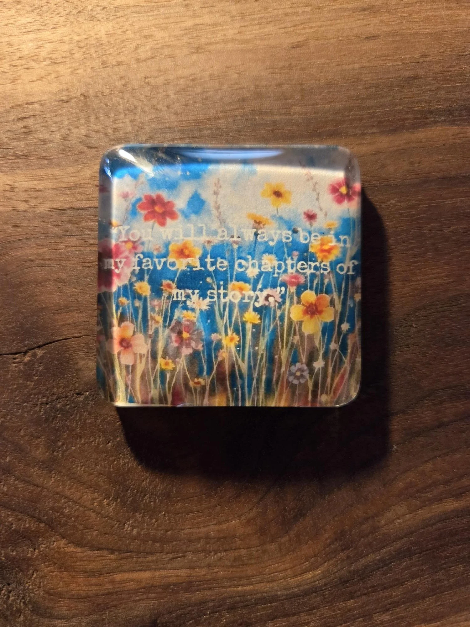🌼You Will Always Be in My Favorite Chapters Glass Magnet