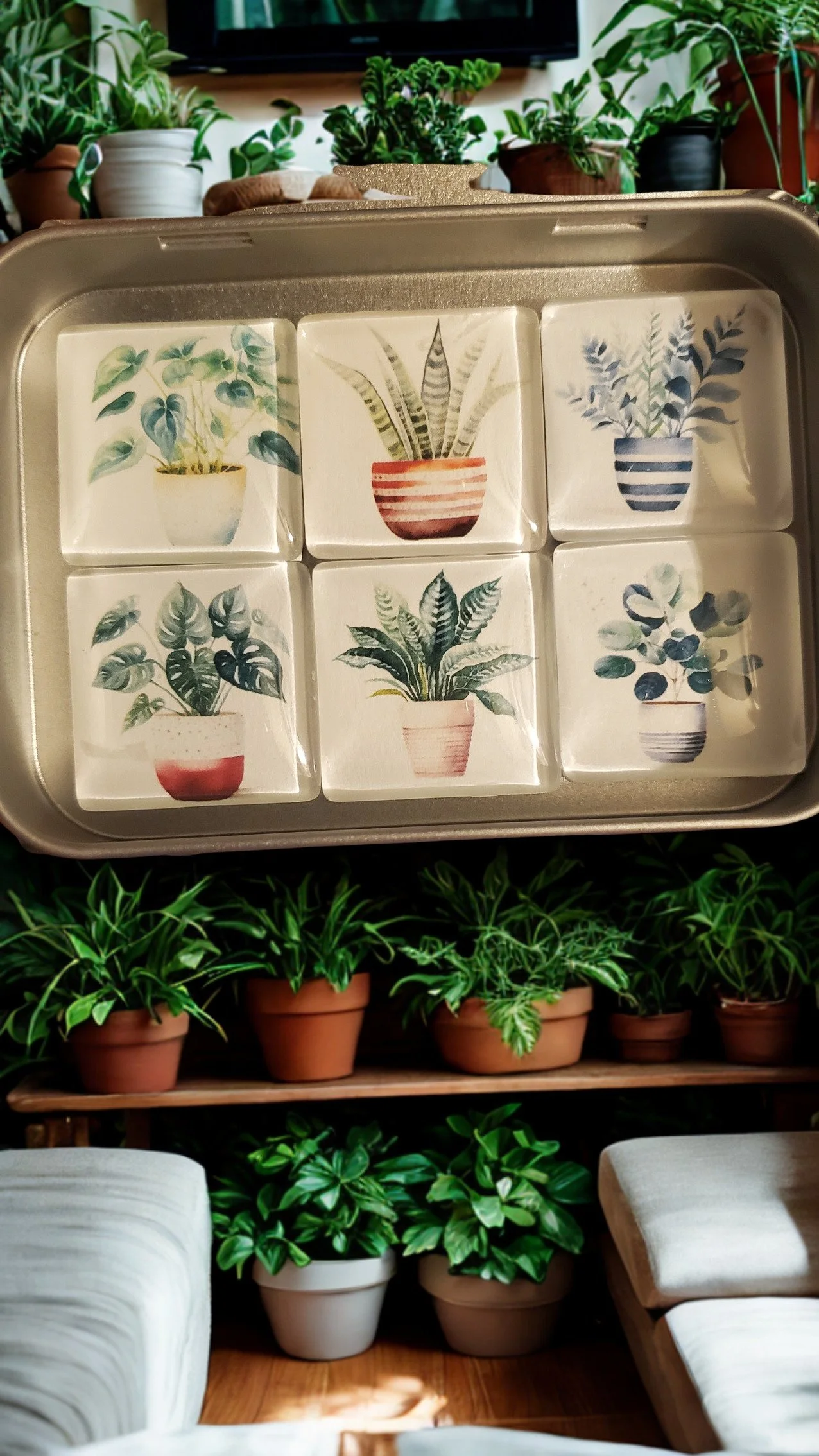 🪴 Watercolor Houseplant Glass Magnet Set