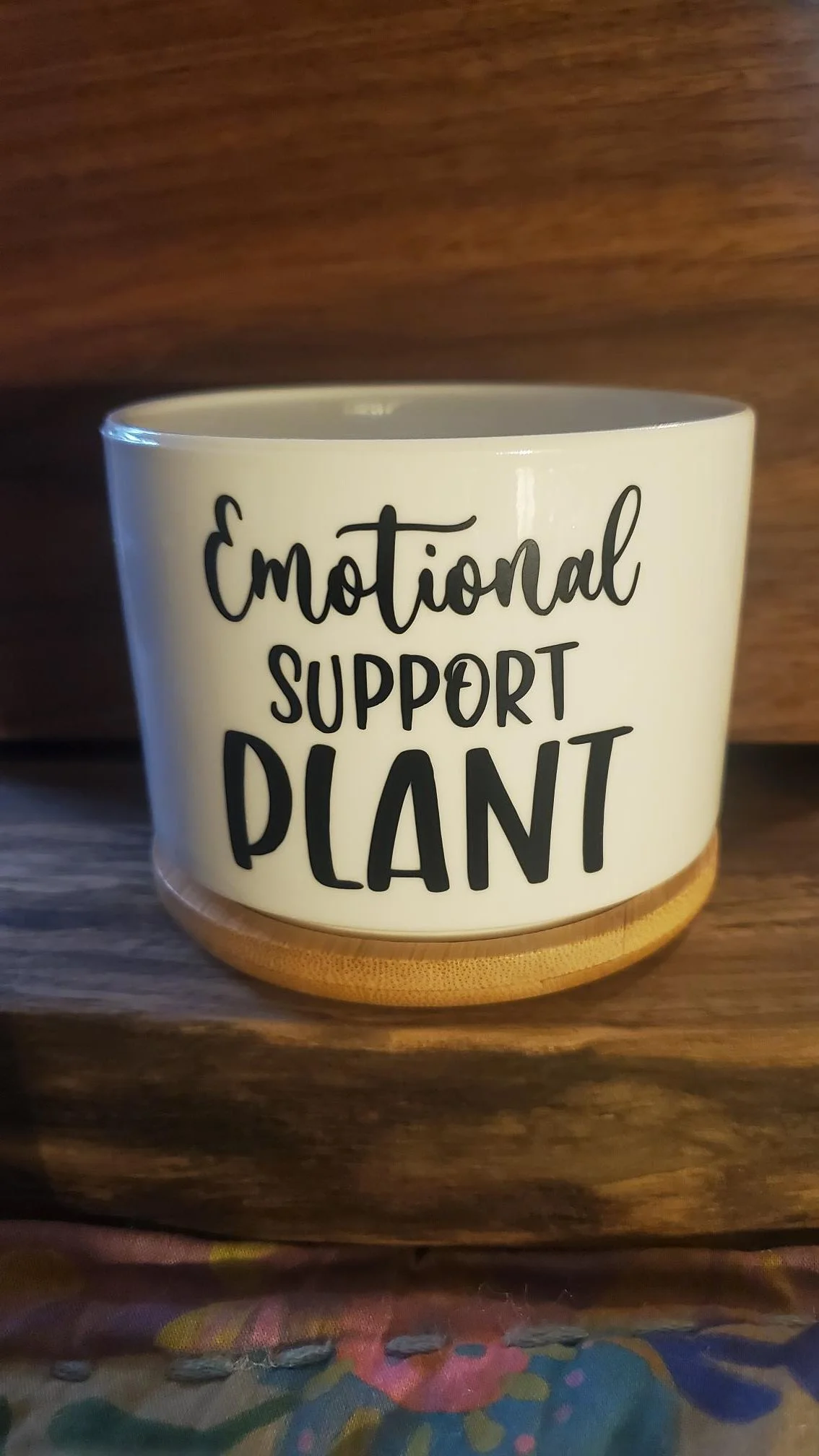 🌿  Emotional Support Plant Succulent Planter