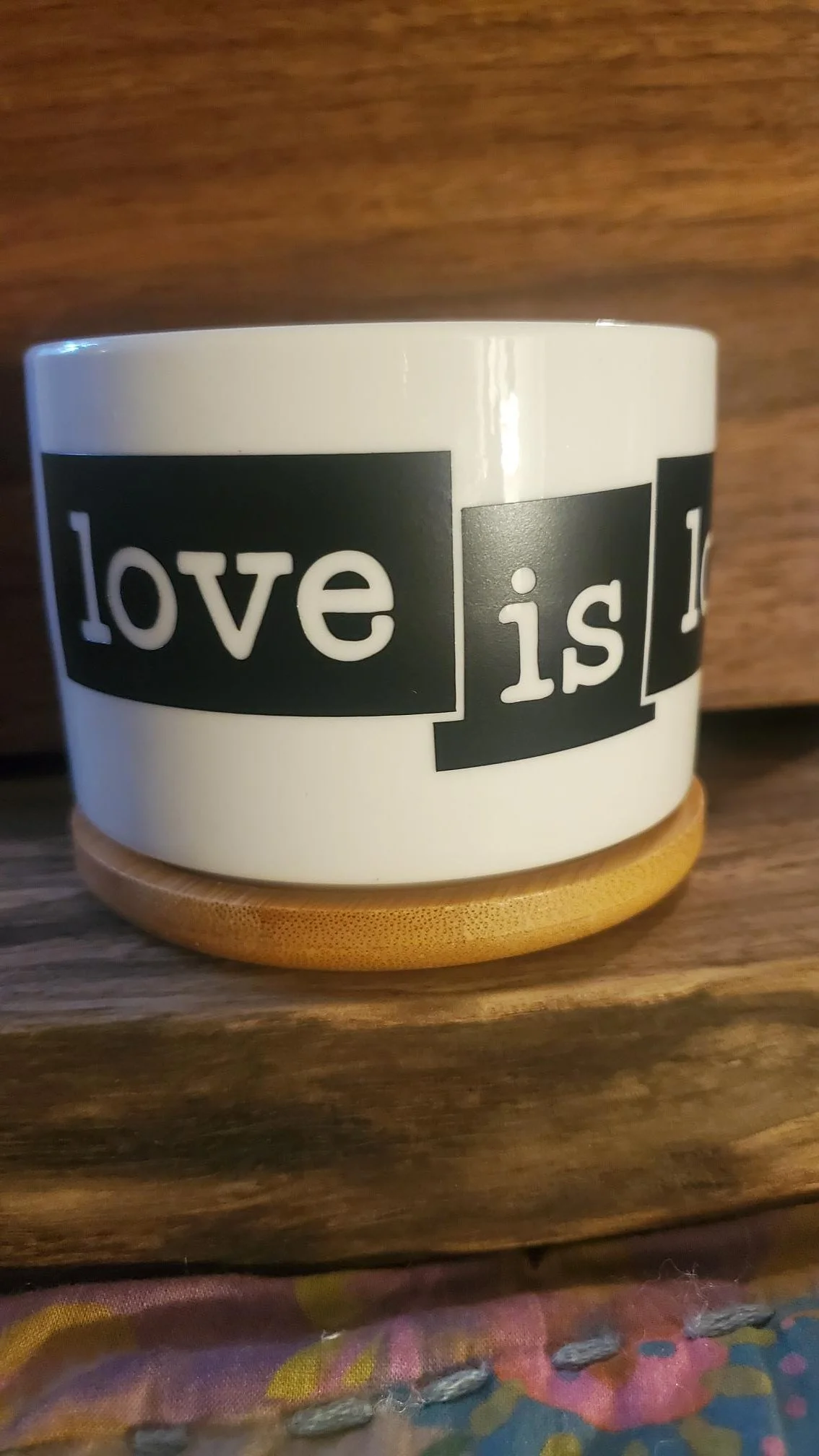 💖  Love Is Love Succulent Planter