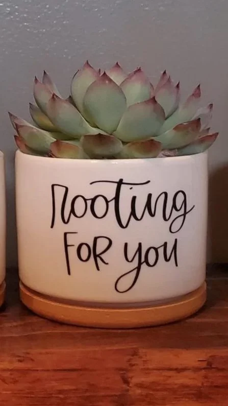 🌱  Rooting For You Succulent Planter