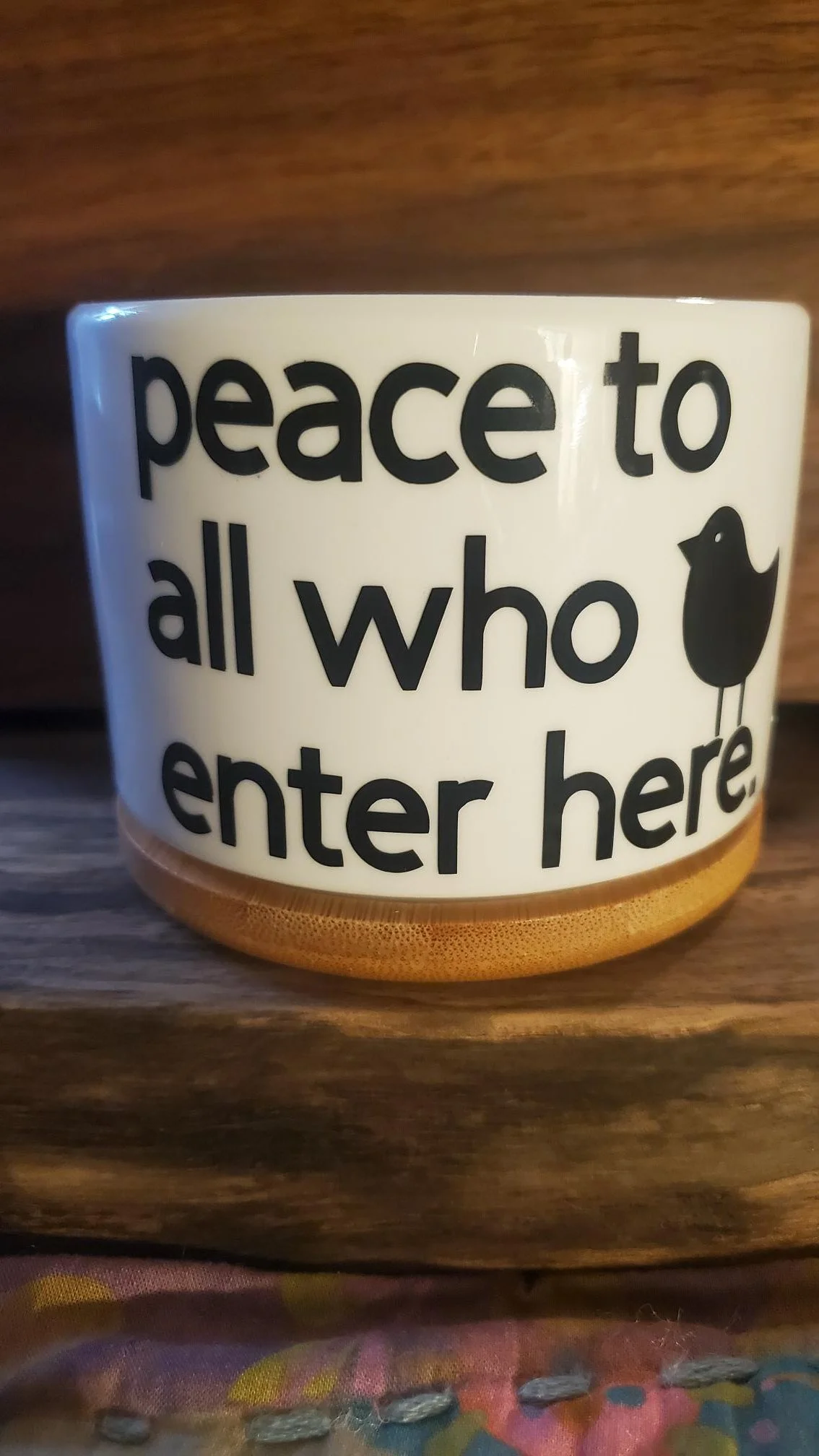 🐦 Peace to All Who Enter Here Succulent Planter