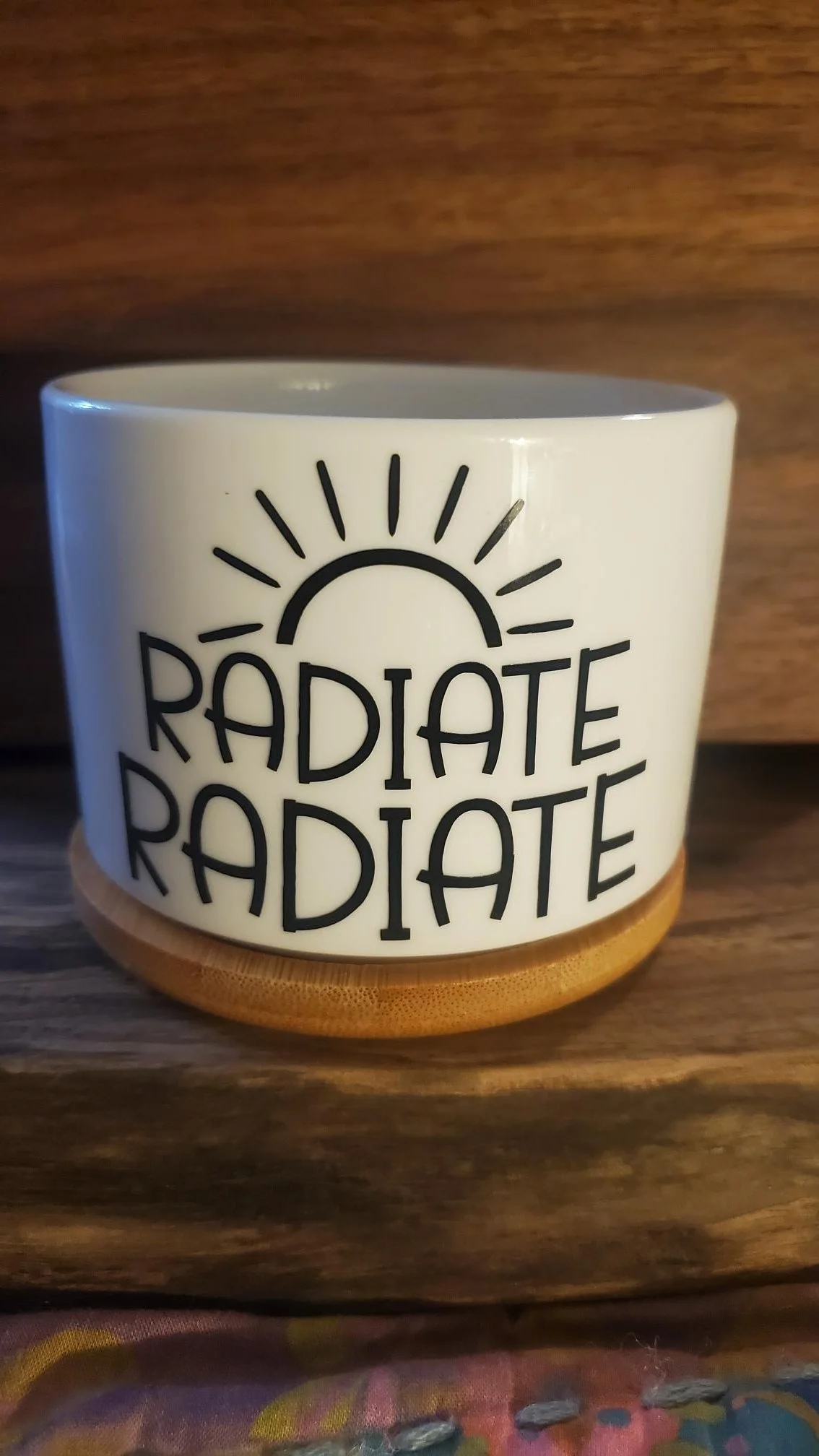 ☀️  Radiate Radiate Succulent Planter