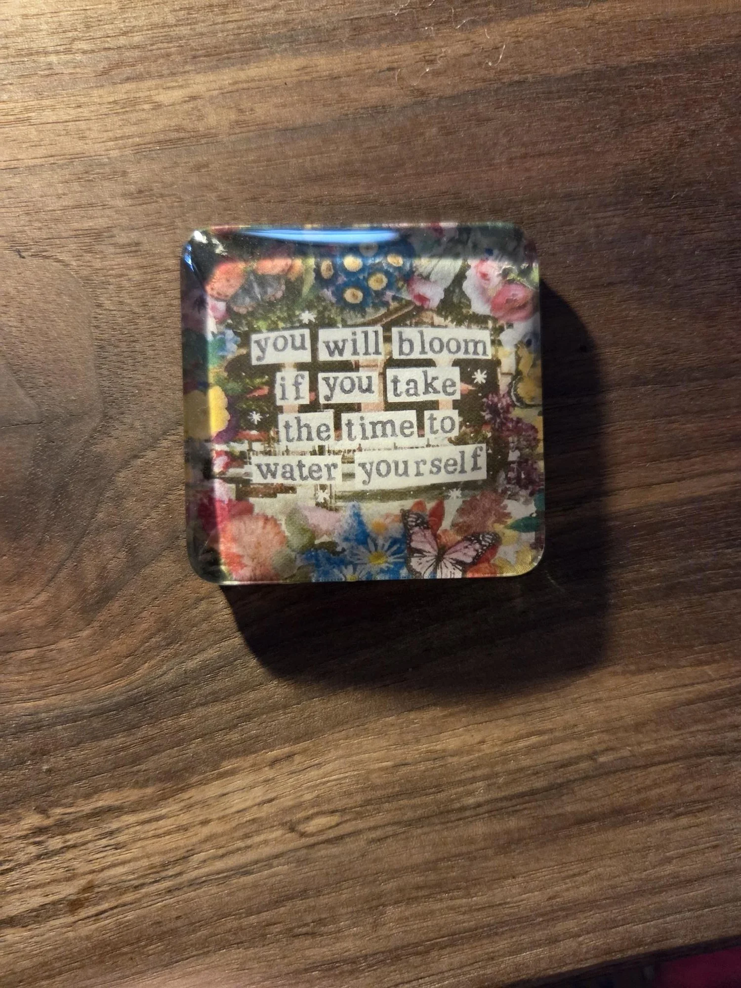 🌸You Will Bloom Glass Magnet