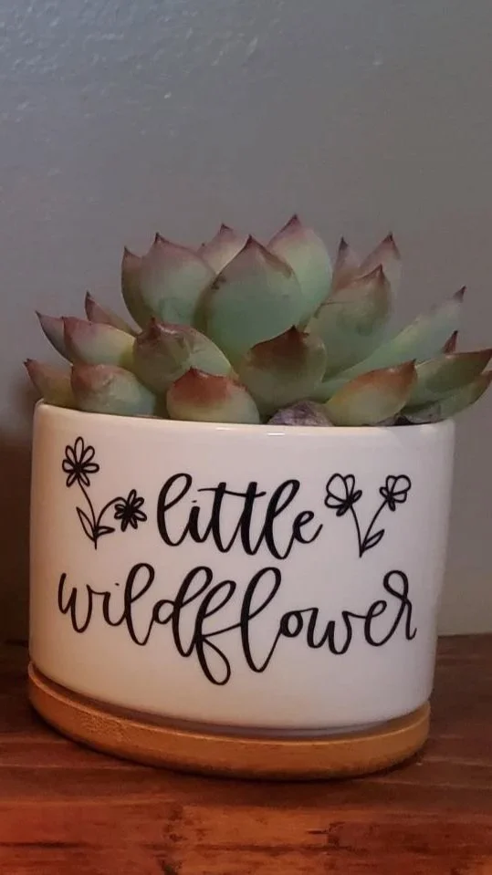 🌼 Little Wildflower Succulent Planter