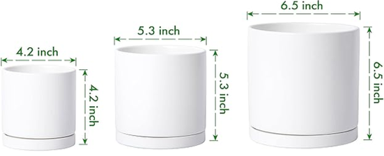 Planter%252BSize.png (Copy)