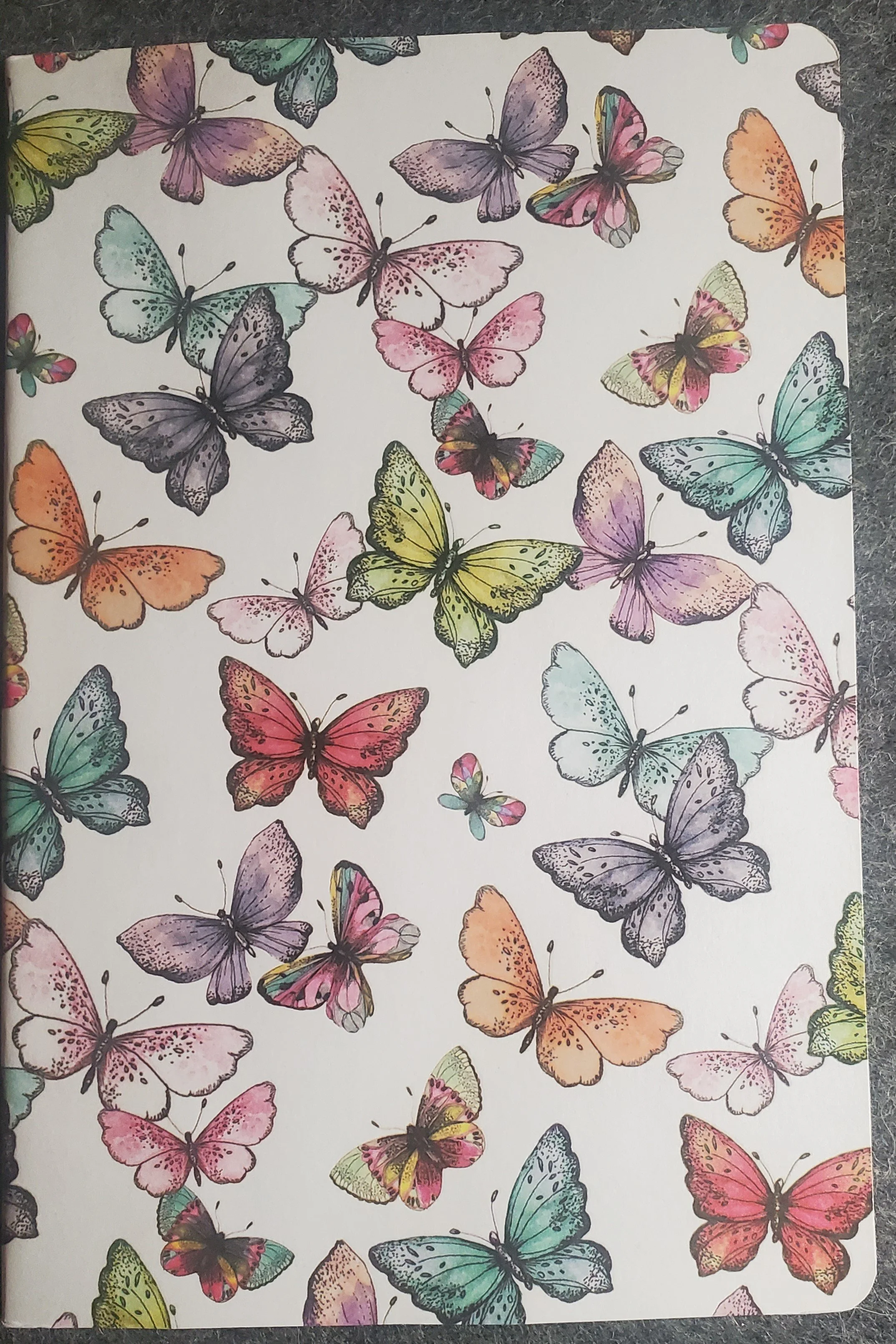 Blank Journal - Color Butterfly