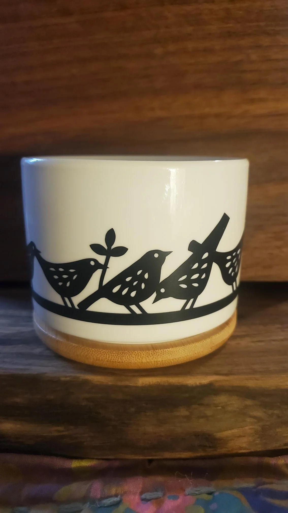 🐦  Bird Branch Succulent Planter