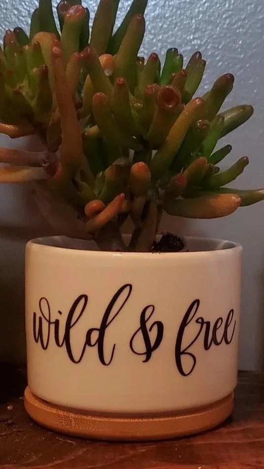 🌿 Wild & Free Succulent Planter