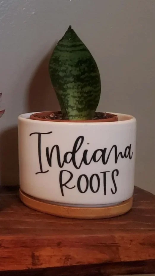 ❤️ Indiana Roots Succulent Planter