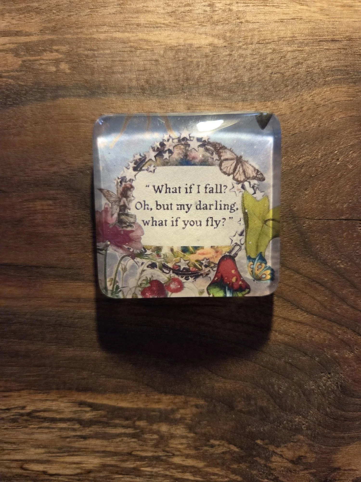 🦋What If You Fly Glass Magnet