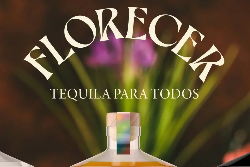 Strategy & Branding - Florecer
