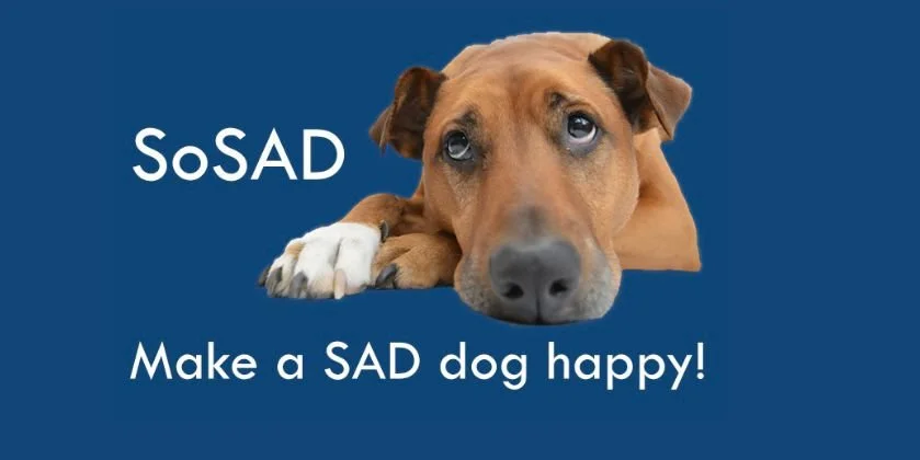 Sosad dog resuce supporting deerness kennels with vet bills for stray dogs