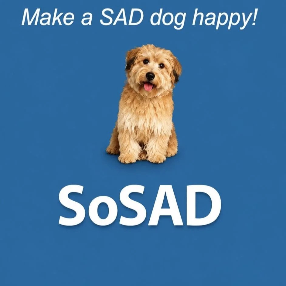 Sosad dog rescue adoption charity in durham north east england supporting abandoned dogs