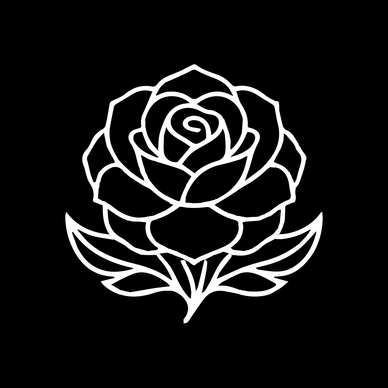 Camellia Media House