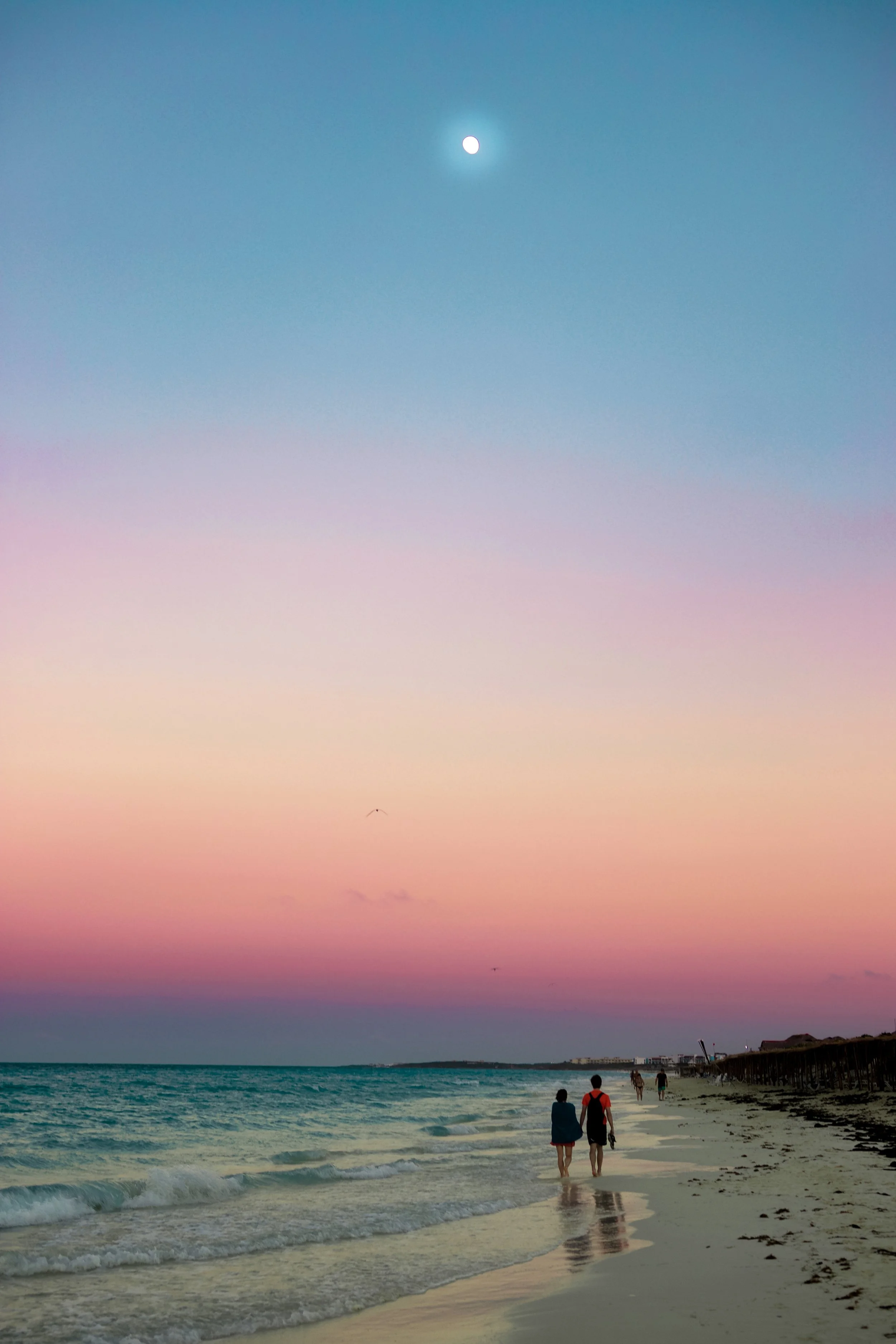 IMG_6375 copy.jpg