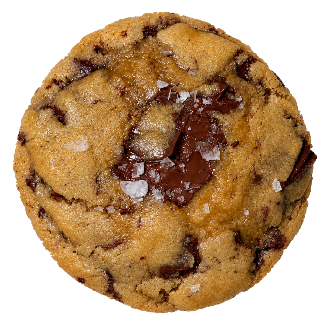 Chocolate chip V2 background.png
