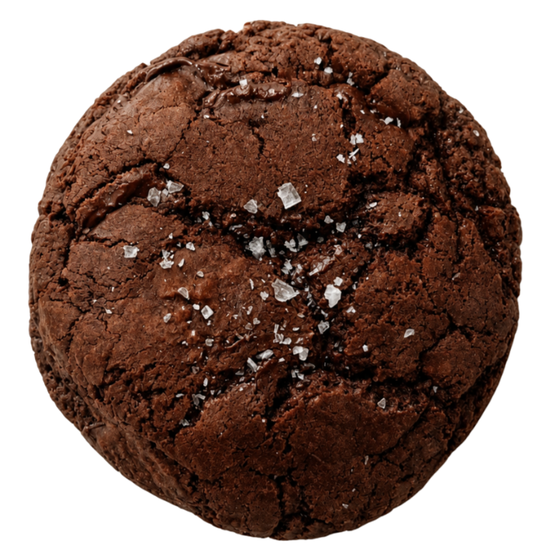 A close-up view of a chocolate cookie topped with a few flakes of sea salt.
