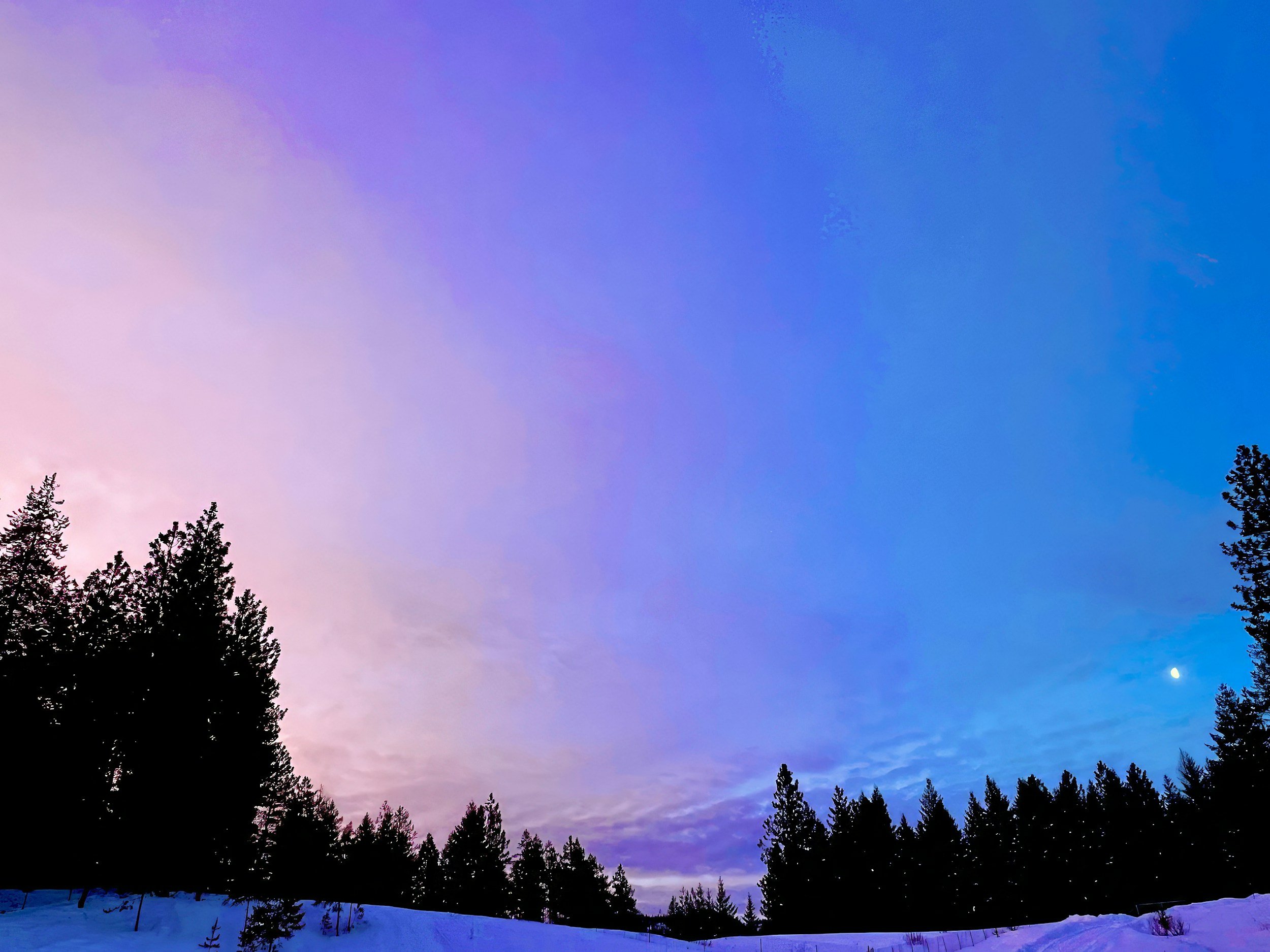Snow-covered forest landscape at dusk with a purple and blue sky, a visible moon in the lower right corner, and silhouettes of tall pine trees.
