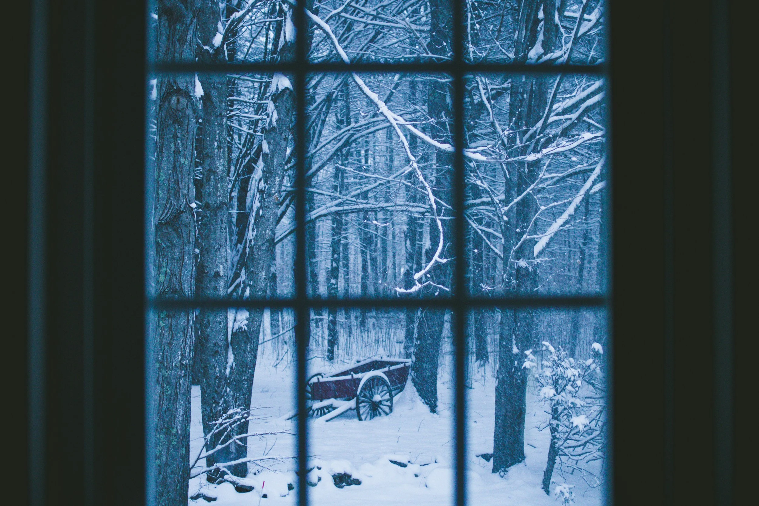 Snow-covered trees and an old wooden cart seen through a window with divided panes.