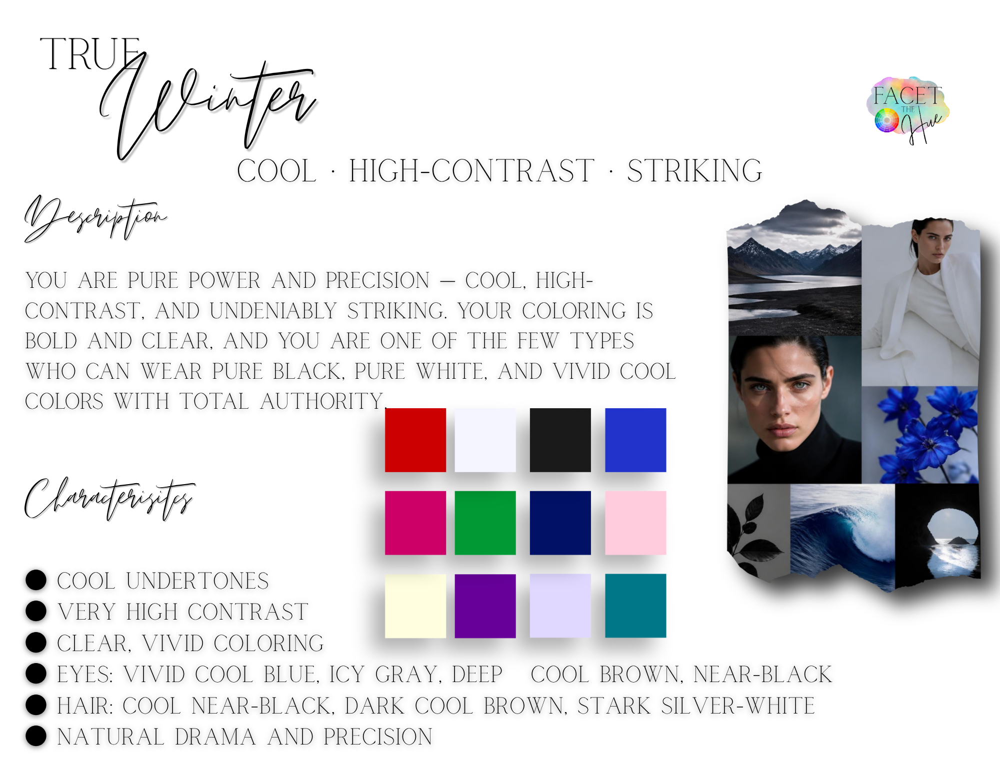 A color palette chart titled 'True Winter' with descriptions of characteristics and a color swatch array featuring red, white, black, blue, pink, green, purple, yellow, violet, turquoise, etc. The chart also has images of mountain landscapes, a woman with cool-toned makeup, and water scenes.