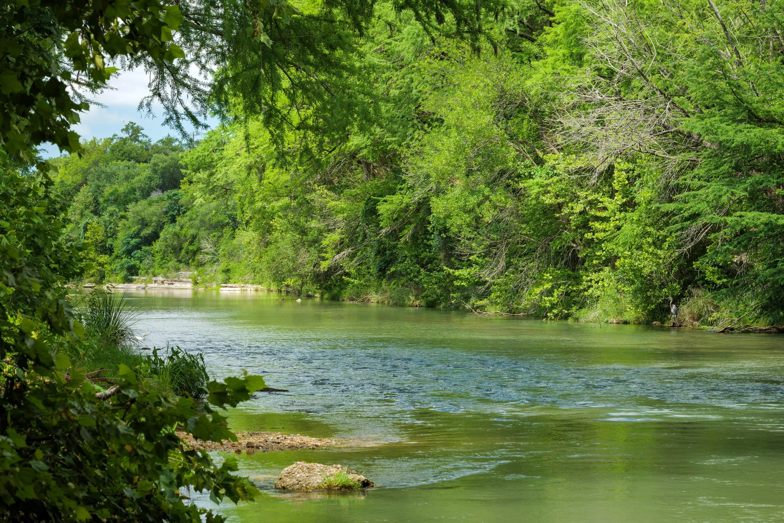 Limestone Landing (78).jpg