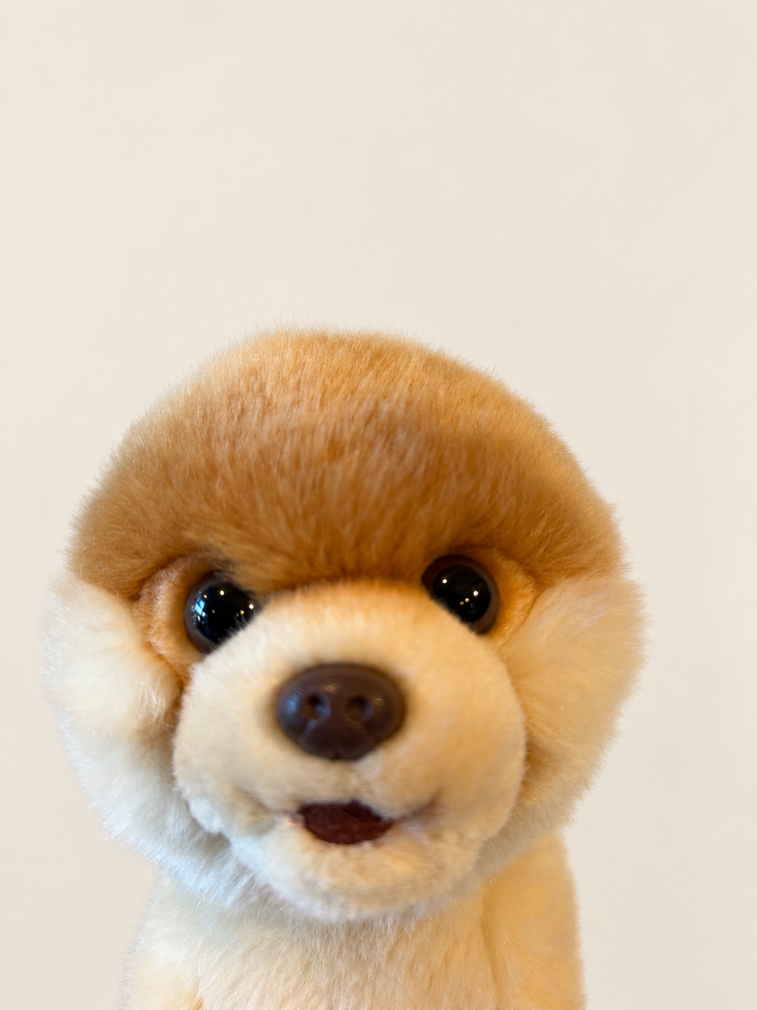 649830DD-E669-4D1F-B5FD-2C5282DC3D3B.png