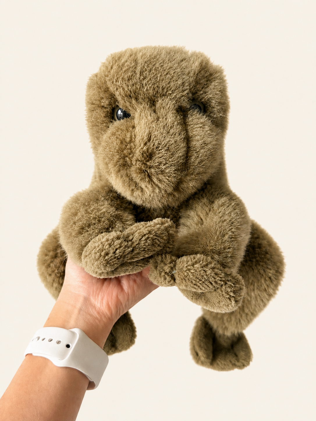 8164E389-3D81-4311-A499-F2DDD9B06EAD.png