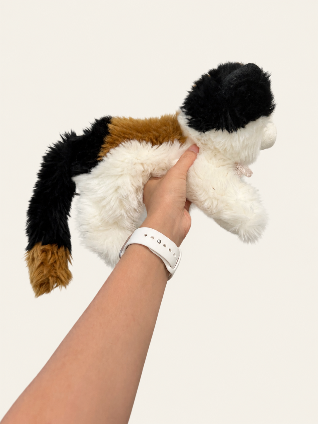 8F1268B8-4465-43AC-8CB6-FC9CAFE80787.png