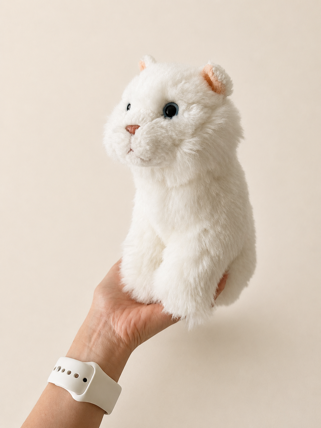 861A4F00-17BF-44BE-94D1-36D7D0AE772C.png