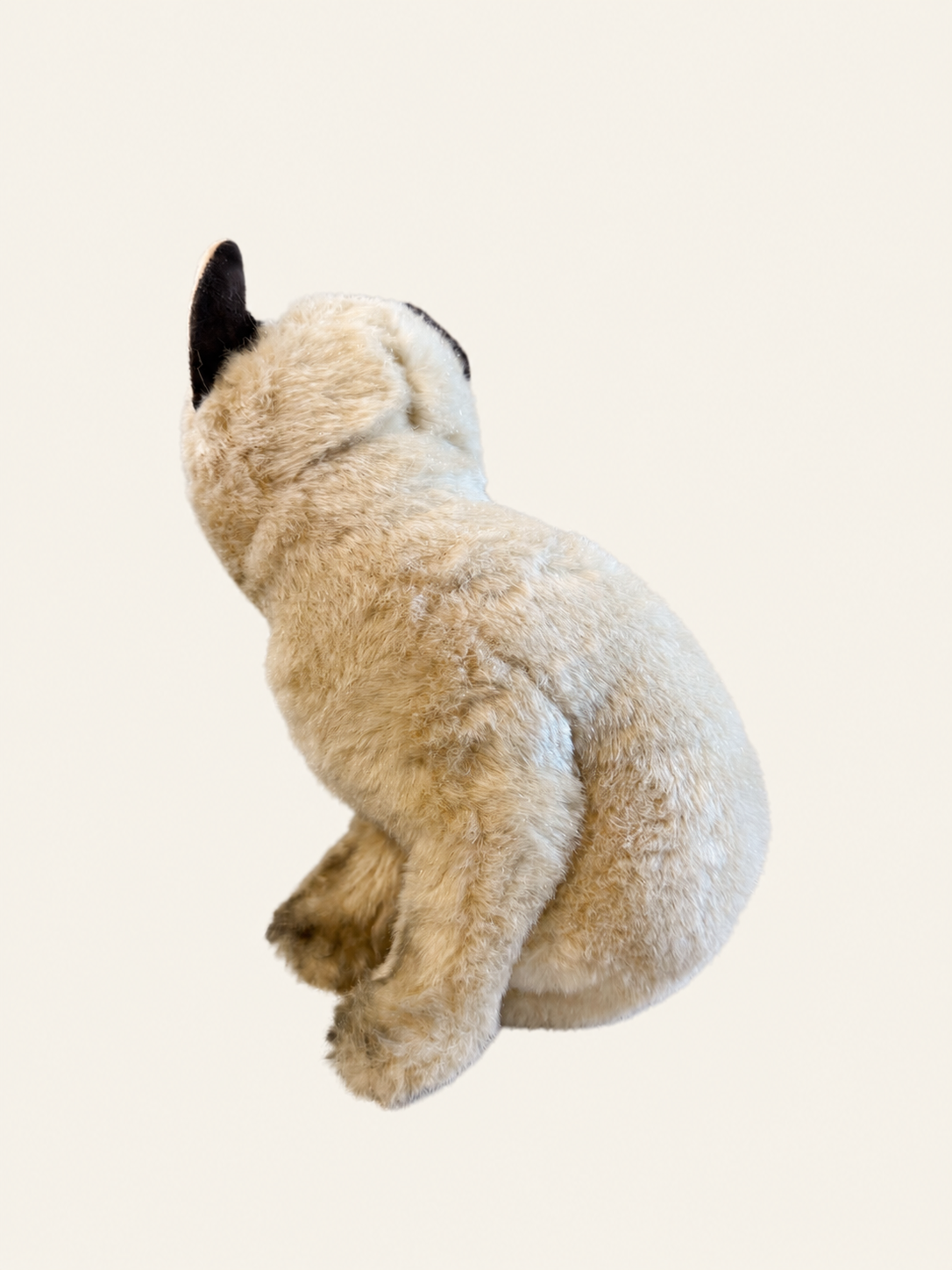 032B9B1D-8DBB-4E55-B866-F11D7498616C.png