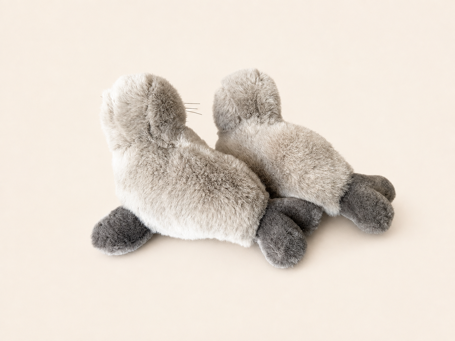 88A80940-F438-4601-9129-AA497CFA2953.png