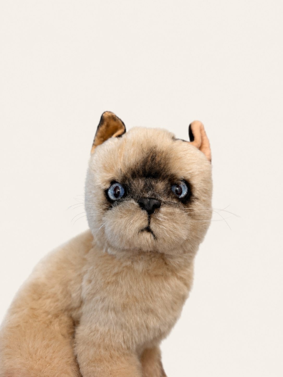 B7460314-9838-47AA-9E85-72C0B41E8F13.png