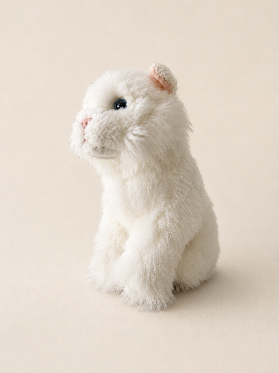 E11FCB35-C0BE-4659-AC40-2A99E0DF4C2F.png