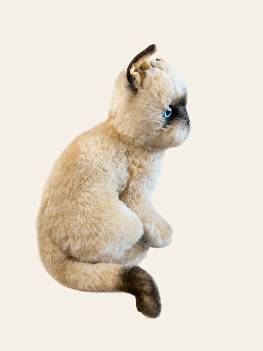 1707F2F9-B90A-471D-AB1C-C3B15BBA5547.png