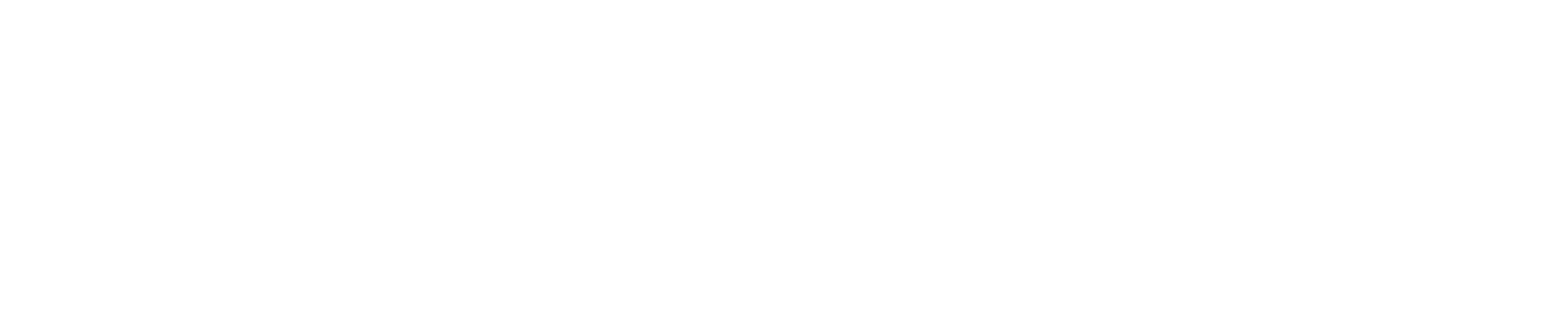 TheSolomonFoundation-Brandmark.png