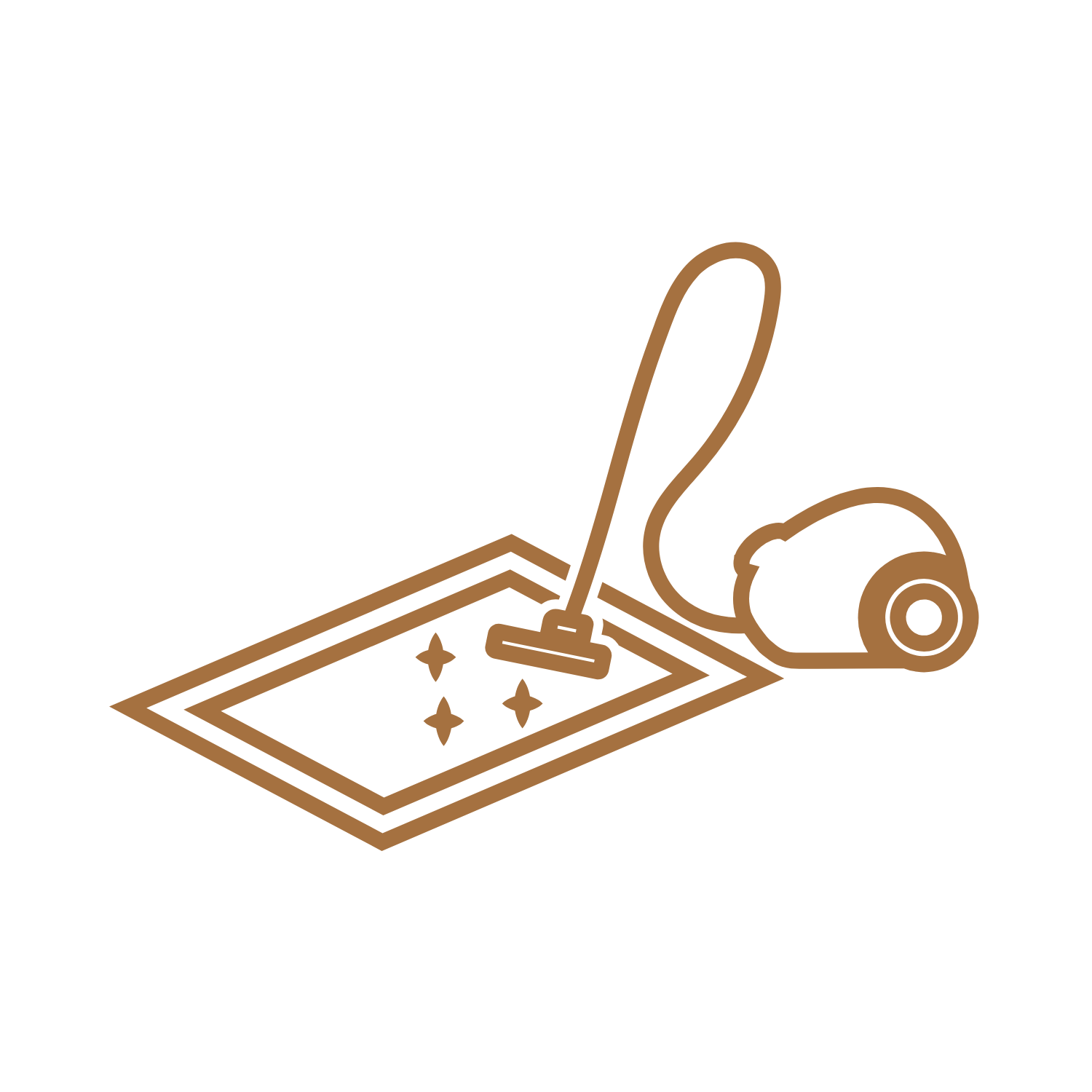 Professional carpet steam cleaning equipment cleaning residential carpet