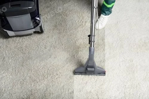 Freshly cleaned residential carpet