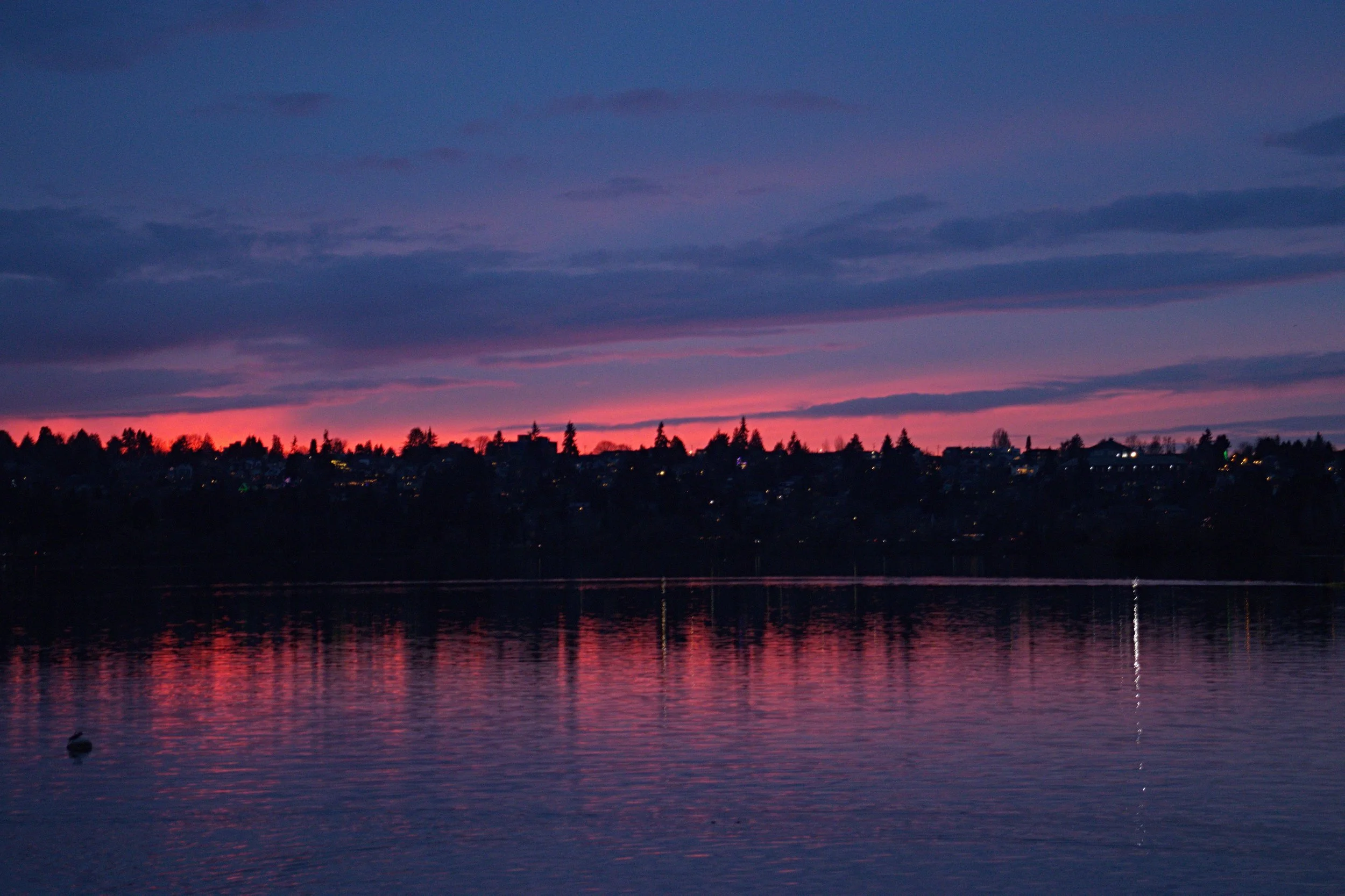 Sunset over a body of water with a distant shoreline and houses, reflecting vibrant pink and purple hues in the sky.