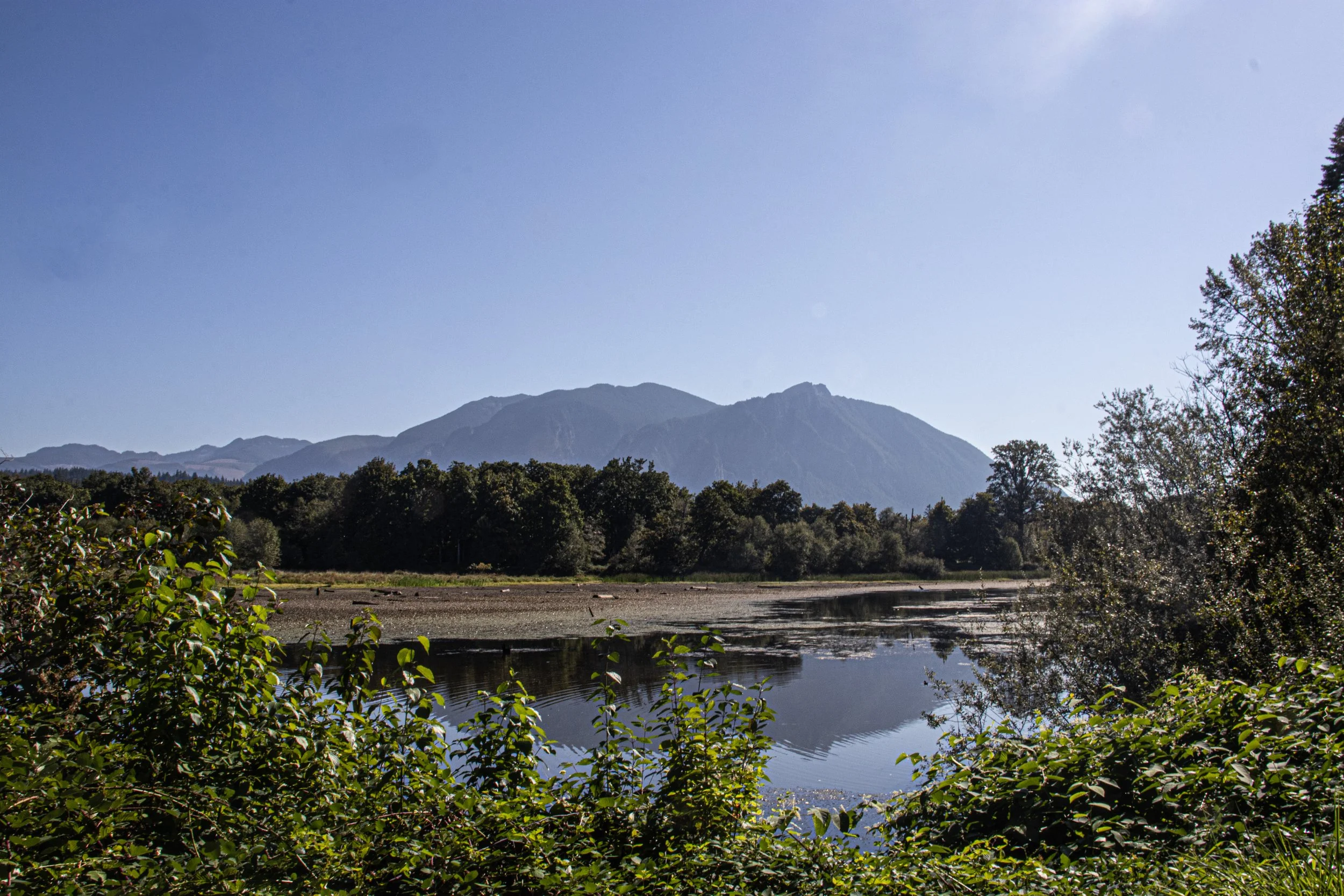 Mountains in the distance with a body of water in the foreground, surrounded by green trees and bushes, under a clear blue sky.