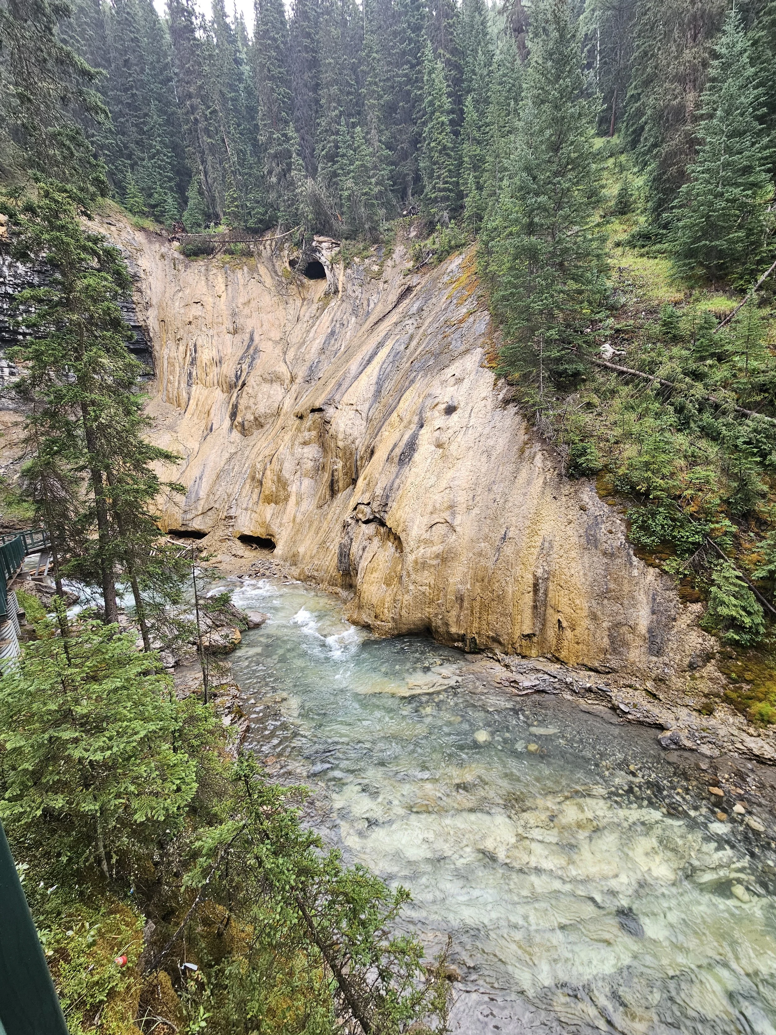 A river flowing through a rocky canyon surrounded by dense green trees.